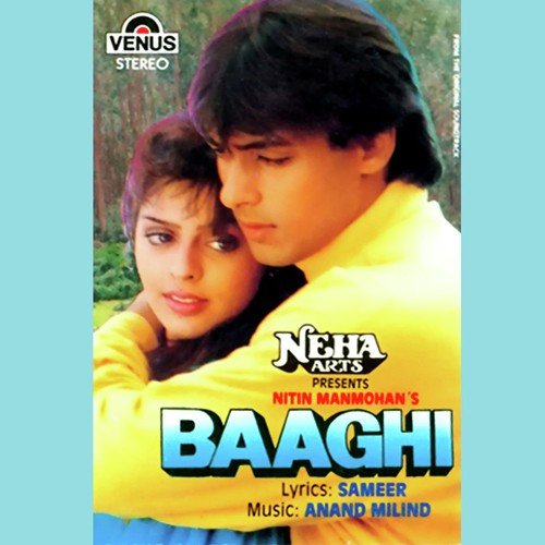 Baaghi (1990) (Hindi)